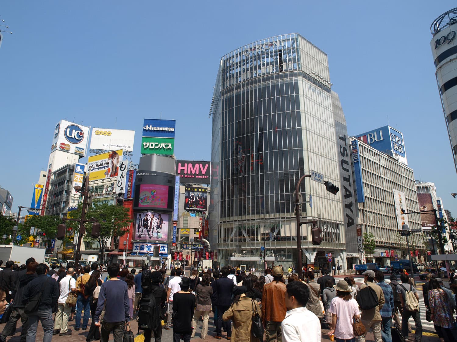 p5091260[1].jpg